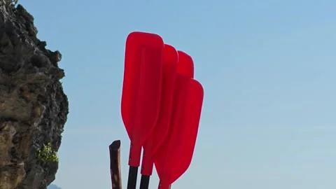 A red set of kayak paddle. Stock Footage 305816989