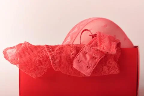 Red sexy bra and panties on pink background. Women sexy underwear