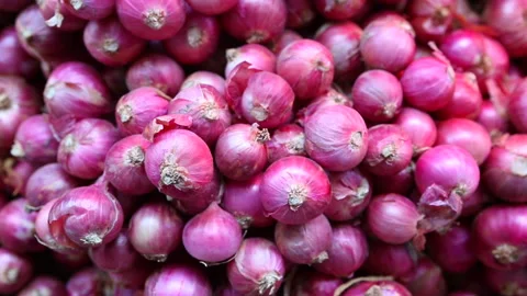 Red Shallot Onion Bulb Video stock 159182628