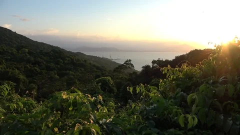 Red-shanked Douc Langur, Vietnam Vídeo Stock 124048432