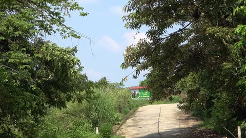 Red-shanked Douc Langur, Vietnam Stock Footage 128331153