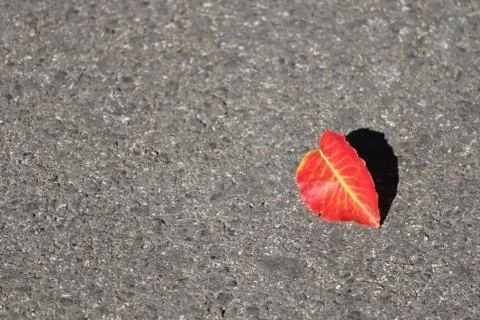 Red sheet on the road 写真素材