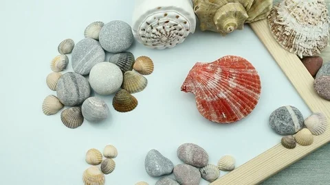 Red shell on the center Stock Footage 87202846