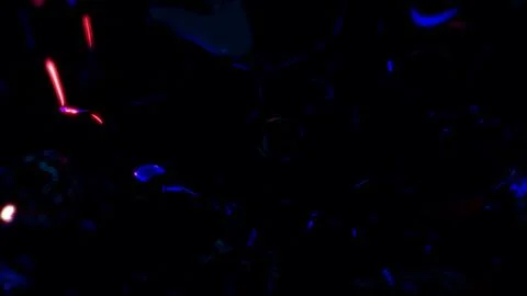 Red shining transpicuous fluid metaspheres on black bg Stock Illustration