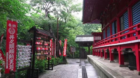 Red Shinto Templa In Green Forest On Rainy Day 4K Stock Footage 42042279