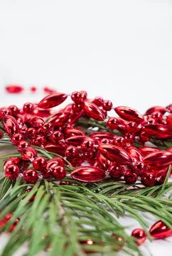 Red shiny beads in pine branches isolated on white background. Decorations Stock Photos