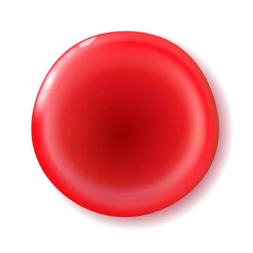 Red shiny circle button for holiday and for internet or your. Stock Illustration