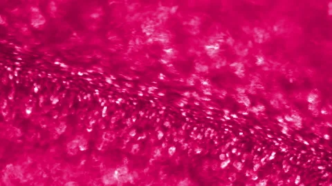 Red shiny shining particles under a microscope. Brownian motion. The particles Video stock 196327827