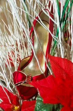 Red shoe Stock Photos