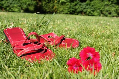 Red shoes on grass Stock Photos