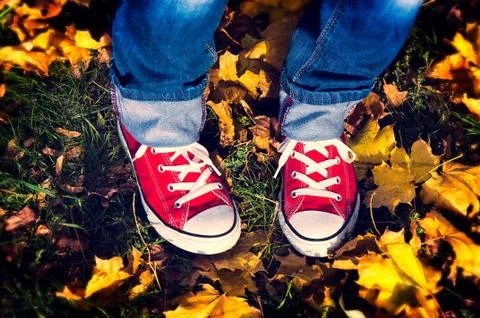 Red shoes Stock Photos