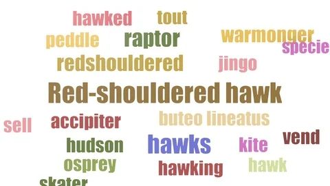 Red Shouldered Hawk Word Cloud Animated On White Background Stock-Footage 107221881