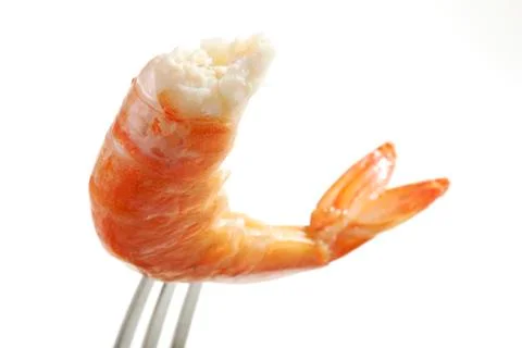 The red shrimps Stock Photos