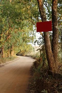 Red sign placed on tree at daytime Stock Photos
