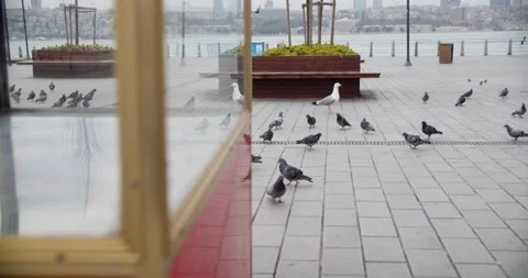 Red Simit Booth in Empty Üsküdar Pier Square due to Covid-19 Pandemic Curfew Stock Footage 153286672