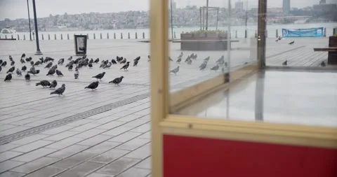 Red Simit Booth in Empty Üsküdar Pier Square due to Covid-19 Pandemic Curfew Stock Footage 153286704
