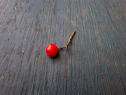 Red Simplicity on Blue Texture Stock Photos