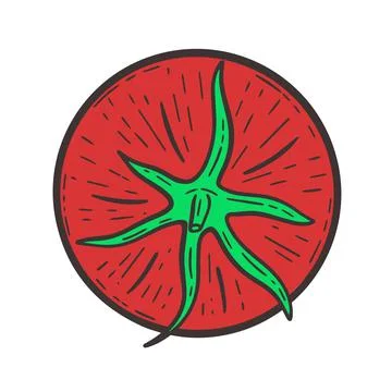 Red single ripe tomato. Vegetable hand engraving Illustrazione stock