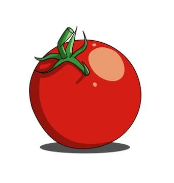 Red single tomato isolated on white background Stock Illustration