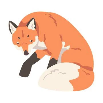 Red Sitting Fox, Wild Predator Forest Mammal Animal Cartoon Vector Illustration Stock Illustration
