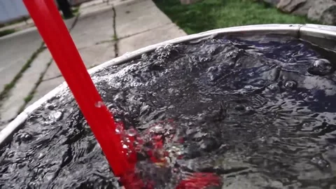 Red skateboard Stock Footage 154428277