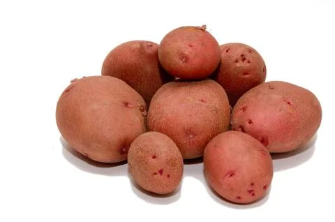 Red-skinned potatoes. Stock Photos