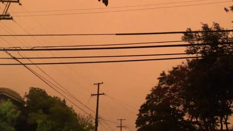 Red Sky Video stock 164686044