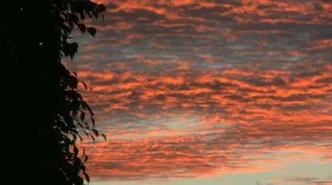 Red sky at night Stock-Footage 11315101
