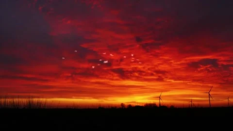 Red Sky Sunset with Flying Seagulls Animation Stock Footage 325329217