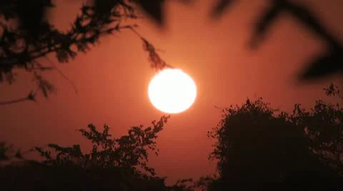 Red Sky Sunset 스톡 동영상 19032167