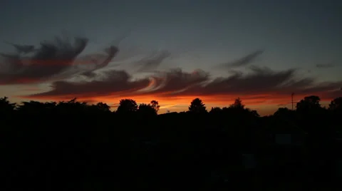 Red sky sunset over black trees Stock Footage 39493513