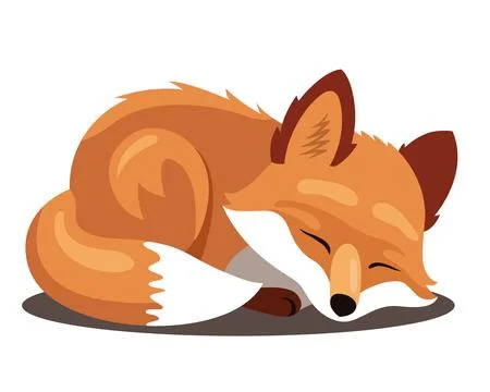 Red sleeping fox. Illustrazione stock