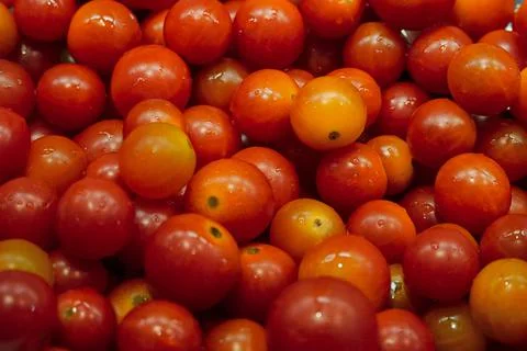 Red small cherry tomatoes, close-up. Background texture: ripe tomatoes with g Stock Photos