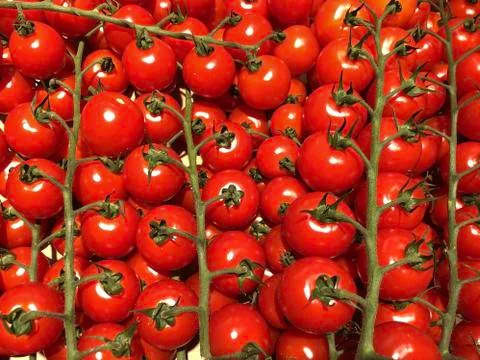 Red, small cherry tomatoes in a crate. Background texture: ripe tomatoes with Fotos Stock