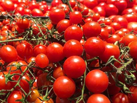 Red, small cherry tomatoes in a crate. Background texture: ripe tomatoes with Foto stock