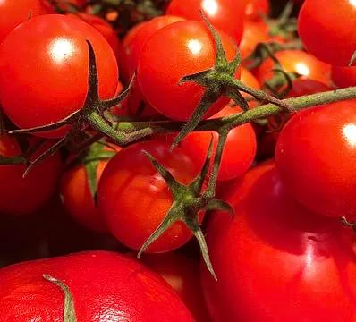 Red, small cherry tomatoes in a crate. Background texture: ripe tomatoes with Stock Photos