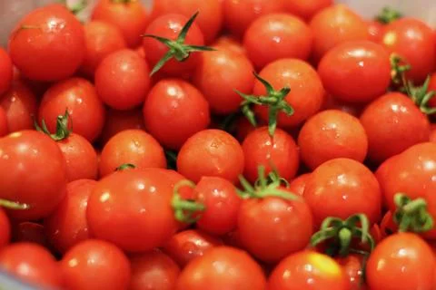 Red small fresh cherry tomatoes with water drops Stock Photos