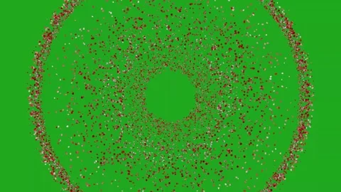 Red small petals with circular pattern on green screen background Stock Footage 275017788
