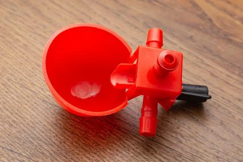 Red, small, plastic, round drinking bowl for chickens on a wooden background Stock Photos