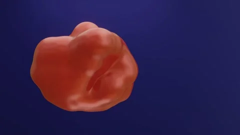 Red smooth shape moving slowly on a blue background. abstract background. 3d ren Stock Footage 151543834