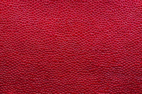 Red Snake Leather Background Texture Stock Photos