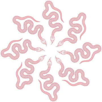 Red snake monogram on white background 스톡 일러스트