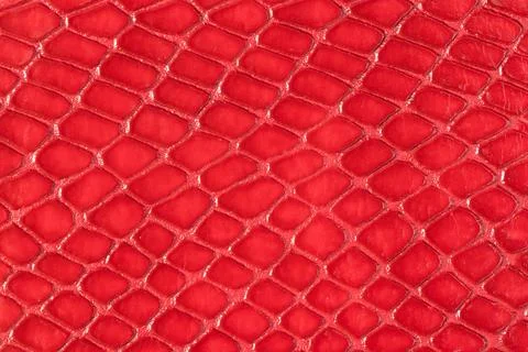 Red Snake Skin Patterned Leather Texture Surface Stock Photos
