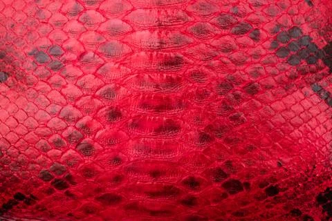 Red Snakeskin texture pattern, natural python leather. Photos
