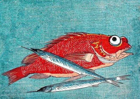 Red Snapper and Halfbeak Illustrazione stock