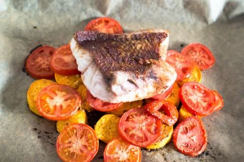 Red Snapper Filet 写真素材