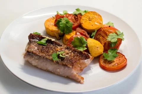 Red Snapper Filet 写真素材