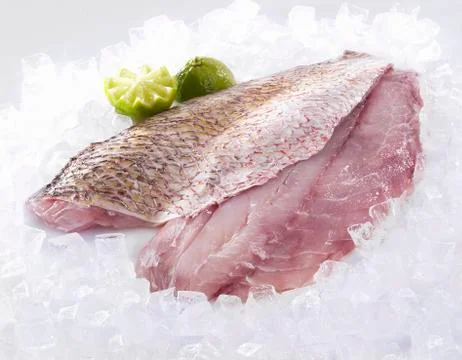 Red Snapper fillets Stock Photos