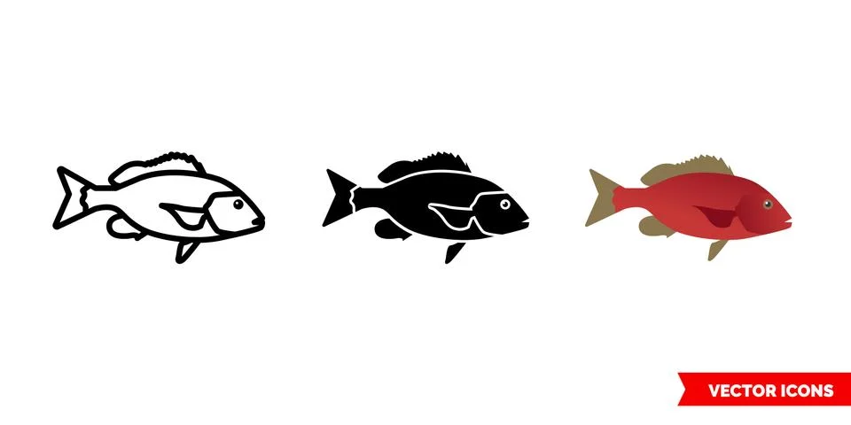 Red snapper fish icon of 3 types color, black and white, outline. Isolated ve Stock Illustration