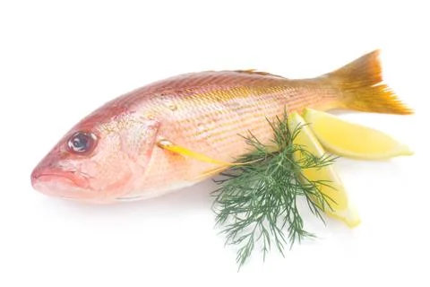 Red Snapper Foto stock
